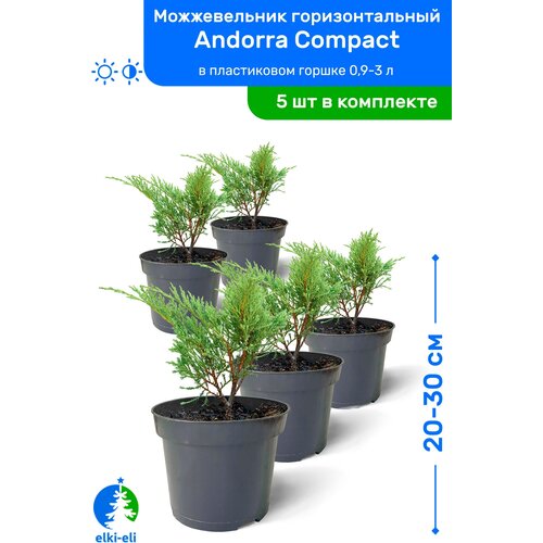    Andorra Compact ( ) 20-30     0,9-3 , ,   ,   5 ,   5475 