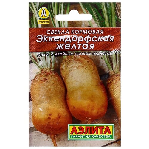 ���� ������ ������ 