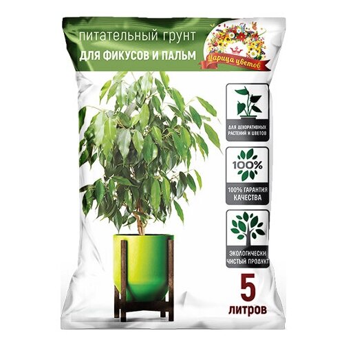 ���� ����� ������ ������ ��� ������� � ����� 5 ������, ������ �� 264 ���