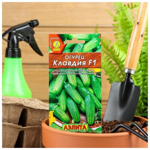     F1 10   (time),   55 