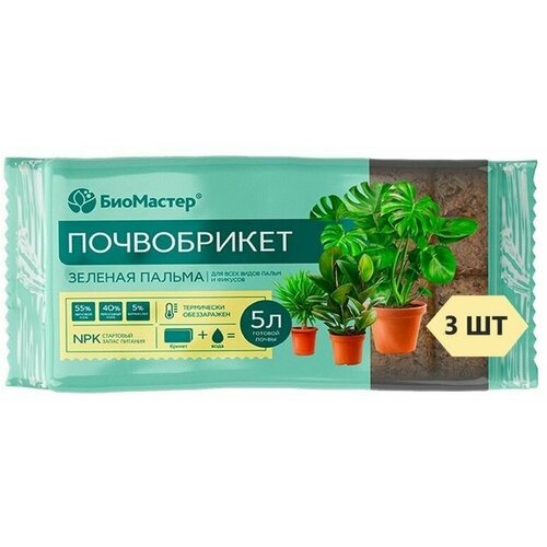 ���� ����������� 