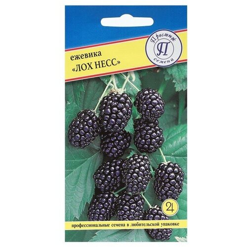 ���� ������ ������� ������������ 