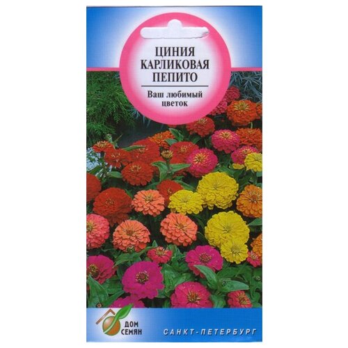 ���� ������ ���������� ������, 35 �����, ������ �� 236 ���