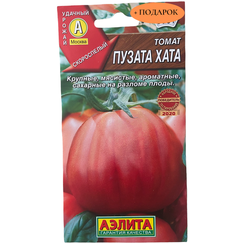 ���� ������ ����� 