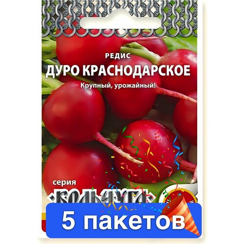 ���� ������ ������ ������� ������ 