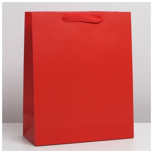 ���� ����� ���������� �������������� ��������, 31 � 40 � 14 ��, ������ �� 245 ���