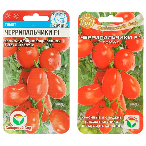 ���� ������ ����� 