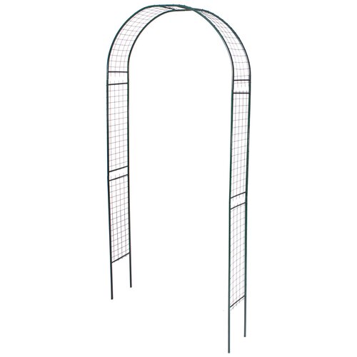 ���� ���� ������� ��������� 