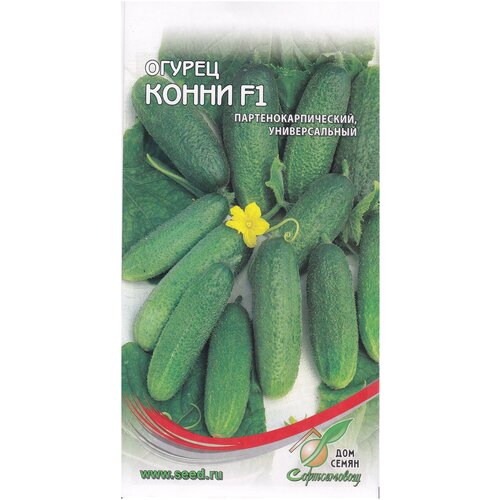 ���� ������ ����� F1, 10 �����, ������ �� 242 ���