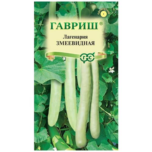 ���� ������ ������ ��������� ���������� 5 ��., ������ �� 449 ���