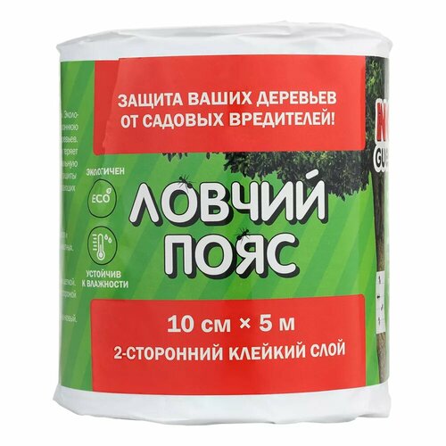       NoGuest,  , 5 ,   10 ,   547 