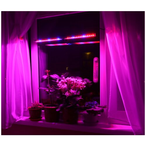 ���� ���������� �� �������� ��� �������� (�������, ������ � ��.) �� ����������� 