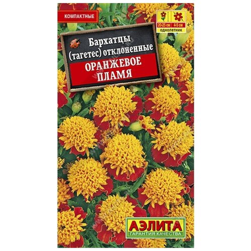 ���� ������. �������� 