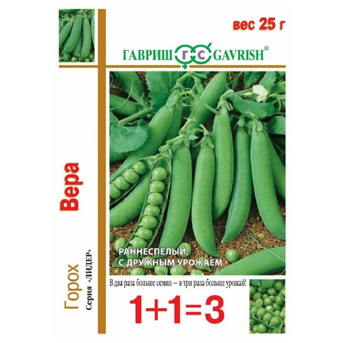 ���� ������ ����� 1+1 