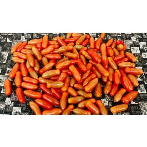 ���� ������������� ������ ������ ����������, ������, ������ �� 102 ���