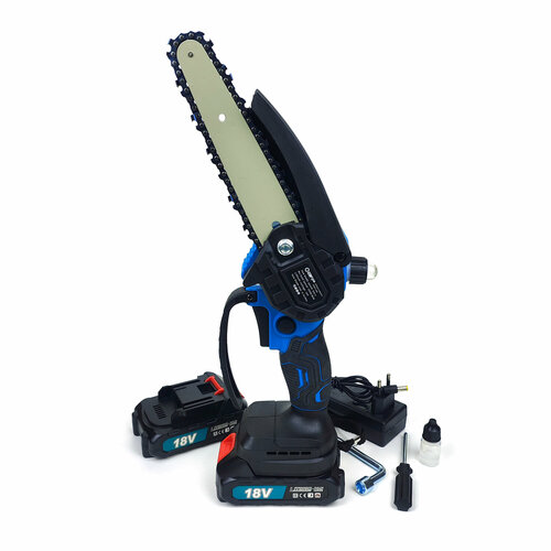 ���� ���� �������������� �����������, ������ �� 4550 ���