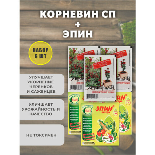 ���� ���� ��� �������� + �������� ��� ��������, ���������, ����� 6 ����., ������ �� 538 ���