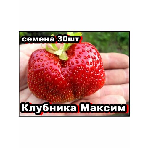 ���� ������ �������� ������ 30��, ������ �� 339 ���