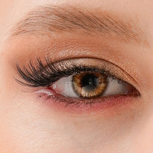 ���� ���������� ����� URBAN LAYER ru Havana, 2 ��., R 8,6, D -2, brown, 1 ��., ������ �� 1320 ���