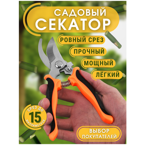       /   /  /  /      ,   236 