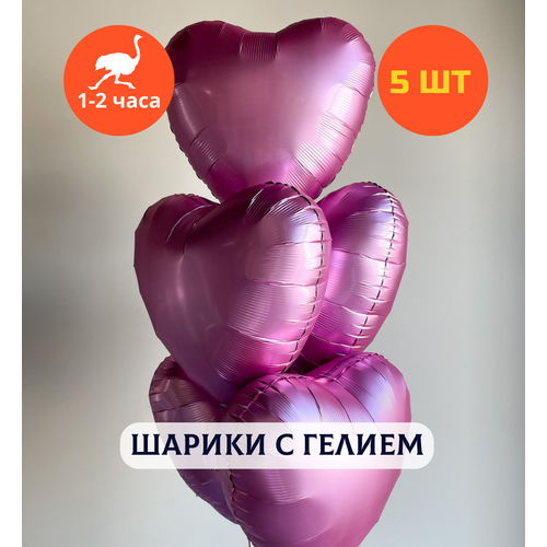 ���� ������ ��������� �� ���� ��������, ��������� ���� � ������, ���� � ���� ��������, ����� ����� ��� ������� 