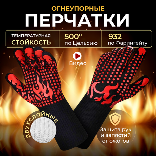 ���� ������������� ����������� ��������, ��� ����� � �������, ����������� ��� ����, ������� ��������, ������ �� 1203 ���