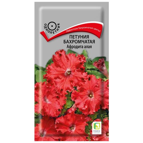 ���� ������� ����������� �������� ����, ������ �� 87 ���