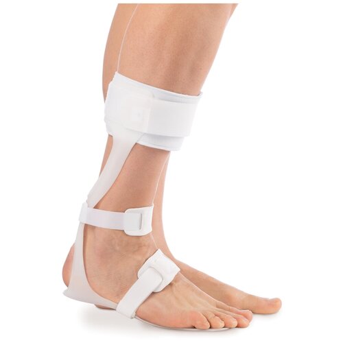 ���� ORTO ����� �������������� �� ������������� ������ NRN 400 �� ������ ����/ ������� ������� ��������/ ������ S, ������ �� 4283 ���