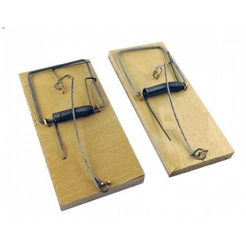 ���� ��������� ����������(��������)-2 �� � ���������, ������ �� 320 ���