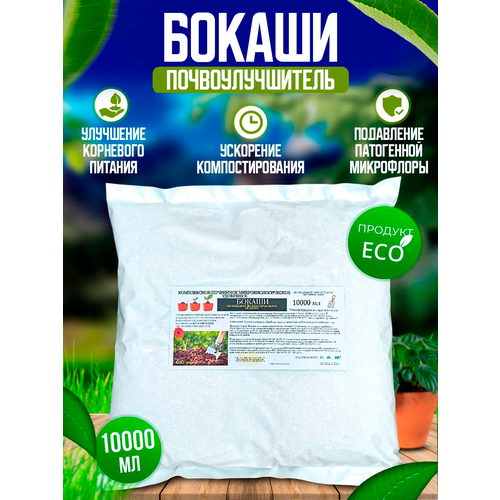 ���� ������ - ������������ ��������� ��������������� ��������� ��������������� 10 �., ������ �� 1400 ���