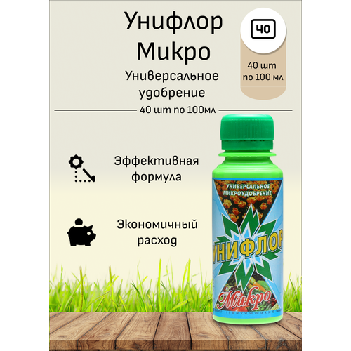 ���� ������� 