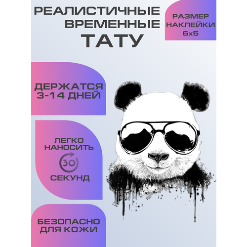 ���� ���� ���������� ��������������, ��������� ���� �����, ������ �� 359 ���