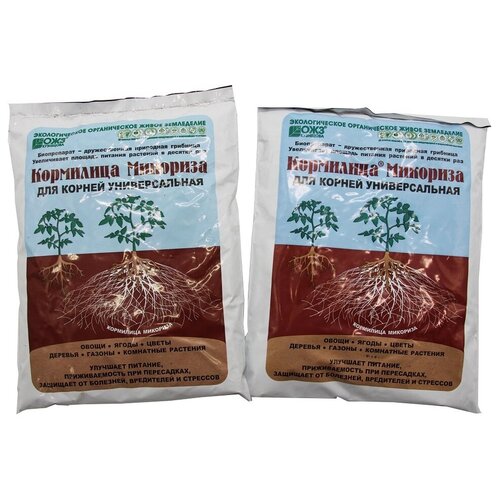 ���� ��������� ��������, ������������� ���������������� �������� 1 �, �������� 2 �����, ������ �� 450 ���