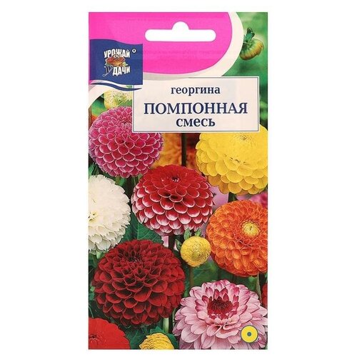 ���� ������ ������ �� �������� ����� 