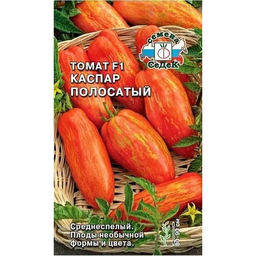 ���� ����� F1 ������ ���������, 1 �����, ������ 0,1 ��, �����, ������ �� 74 ���