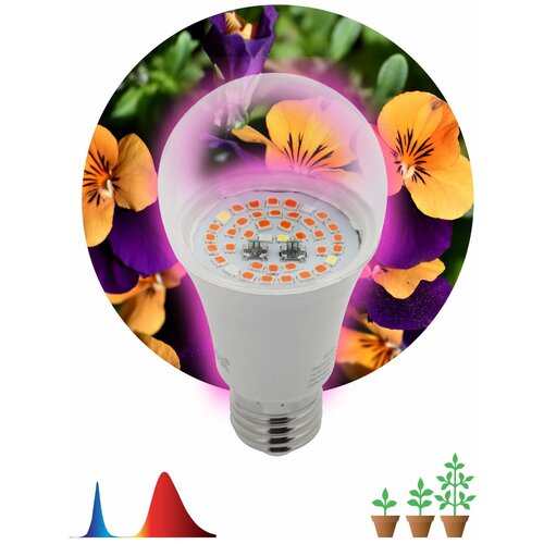       FITO-12W-RB-E27 -  12  27, 1,   390 