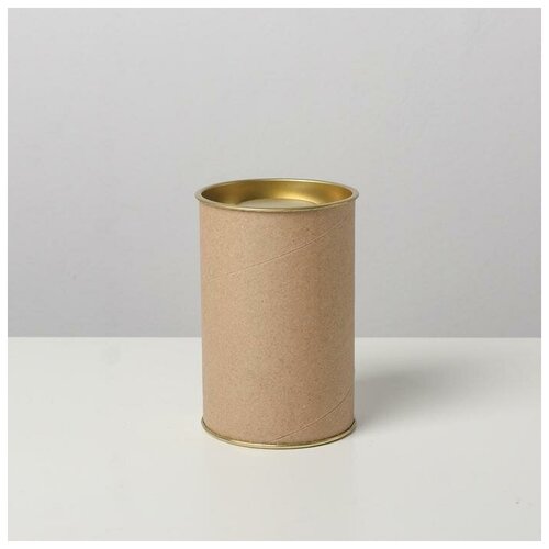 ���� ����� 63�100 �� (80 �� �����. ������), ������, ������������� ������, ������ �� 334 ���