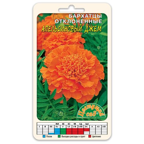 ���� ����� �������� ������������ ���� (������ �������� ��� 0,1 �), ������ �� 48 ���