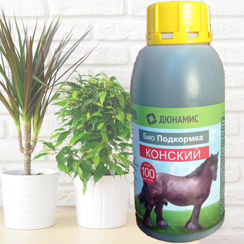 ���� ������� ����� ������� Viva. ������ ����������. 0,5�, ������ �� 420 ���