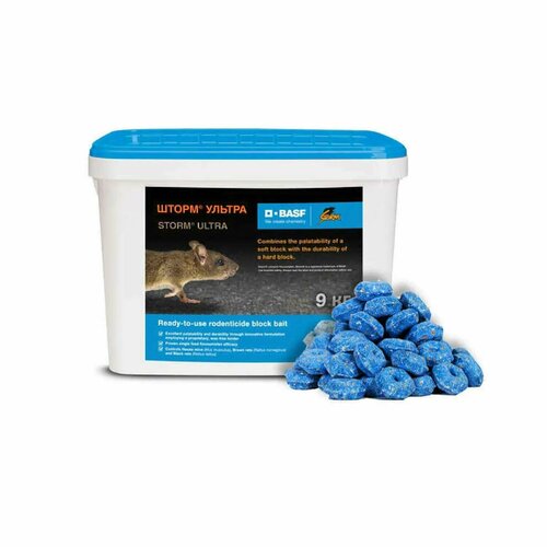 ���� ����� ������ �� ���� � ����� , 9 ��, ������ �� 15500 ���