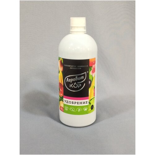 ���� ��������� �������-���, ����� �, ������, 1� ������, ������ �� 1445 ���