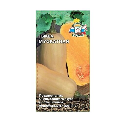 ���� ������ ����� ����� ��������� 2 ��, ������ �� 61 ���