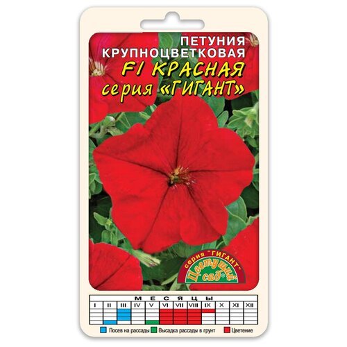 ���� ������ �������� ��� 