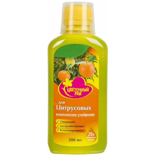 ���� ��������� ��� ����������, 0.2 �, ���������������� �������� ��������������. ������������ ��������� ����� ��������. ����������� �������� ������� � �������� ������������., ������ �� 277 ���