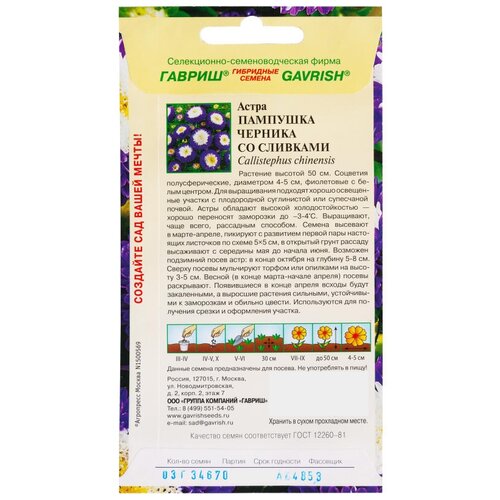 ���� ����� 