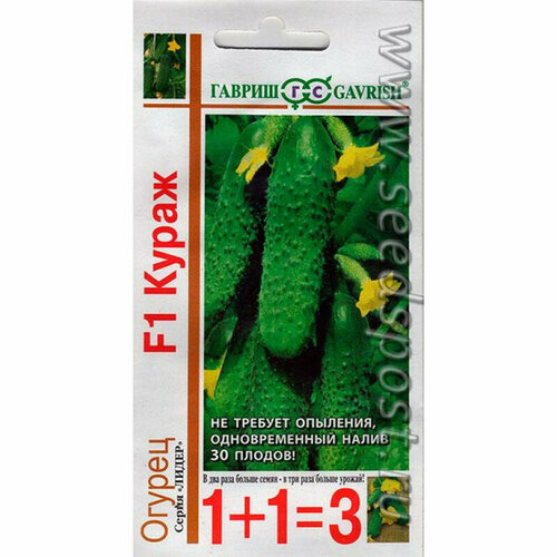 ���� ������ ������ ����� F1 (1 ��-20 �����) ������ 1+1=3, ������ �� 315 ���