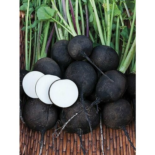 ���� ������ ������ ������ ������� ������, ������ �� 203 ���