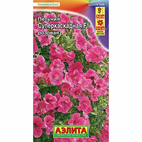     F1 , , () 7 PanAmerican,   59 