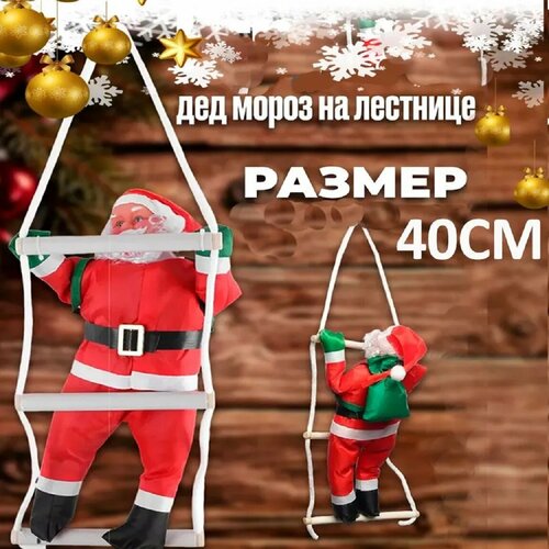 ���� ���������� ����������� ��� ����� �� �������� , ���������� ��������� �� ����, �����, ����, ����� 2025 ���,40 ��, ������ �� 680 ���