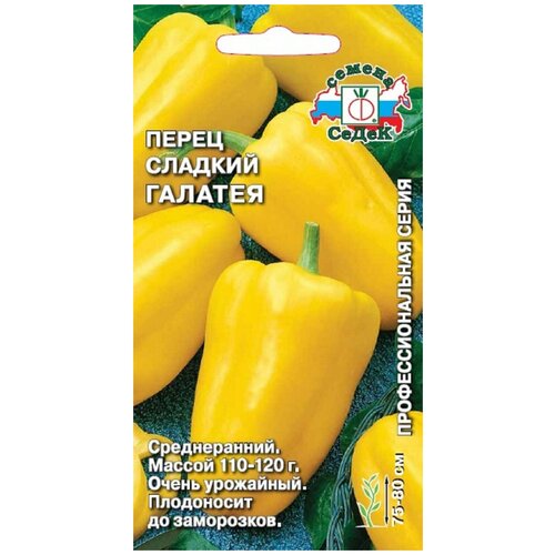 ���� ������ ����� �������, ������ �� 46 ���